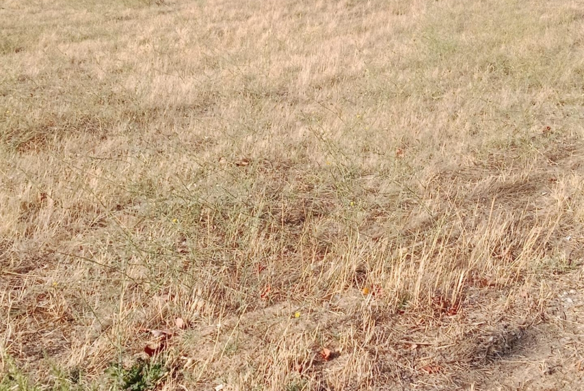 Parcela en Matapozuelos zona Castilla y leon