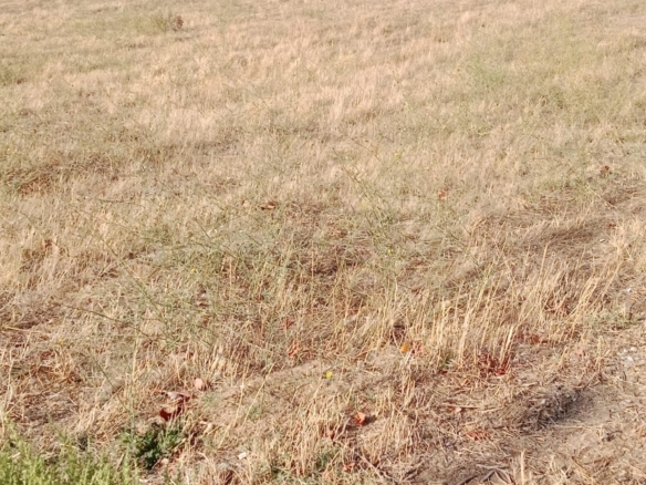 Parcela en Matapozuelos zona Castilla y leon